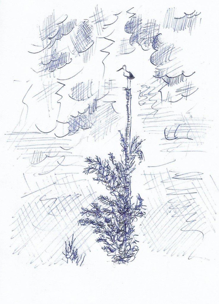 Essere “in vedetta” per custodire la bellezza del creato è essenziale nell’esperienza cristiana