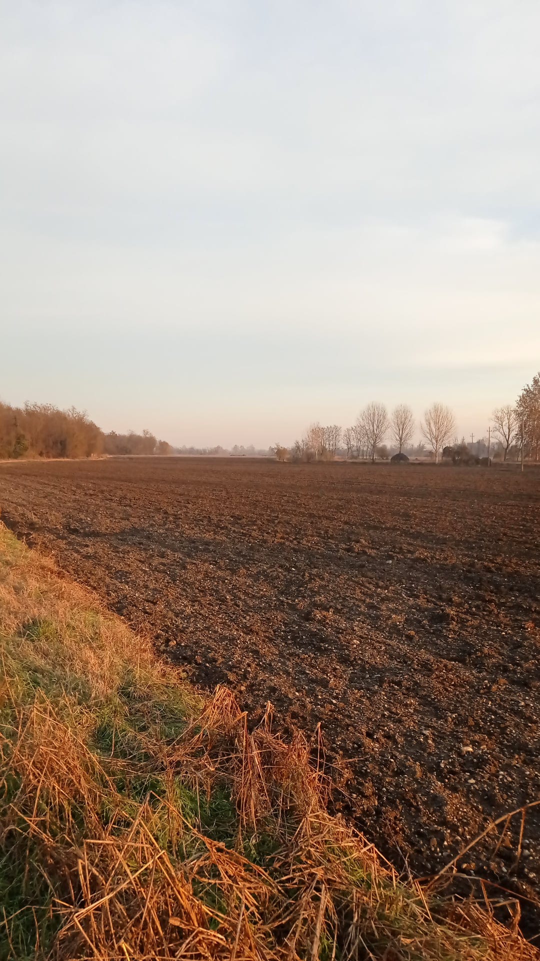 SEME DI CURA NEL MONDO